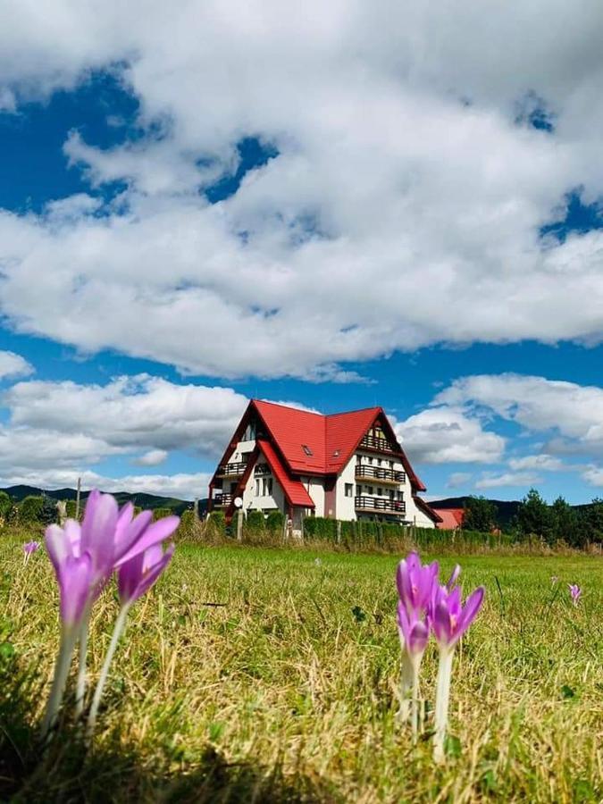 Pensiunea Perla Neamtului Minastirea Neamt Exteriér fotografie