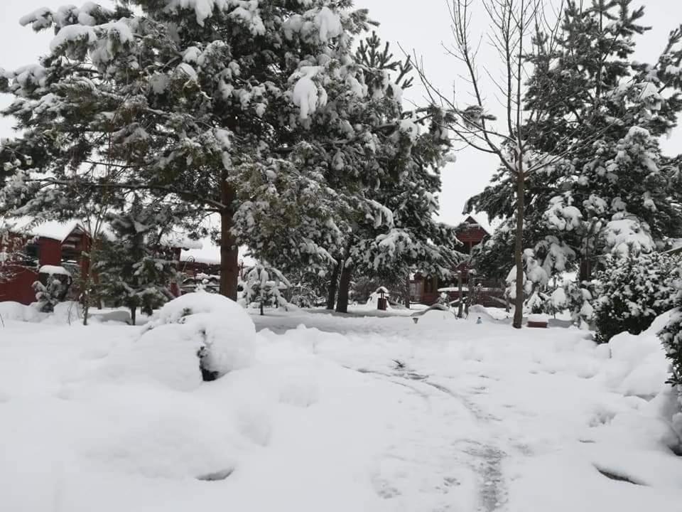 Pensiunea Perla Neamtului Minastirea Neamt Exteriér fotografie